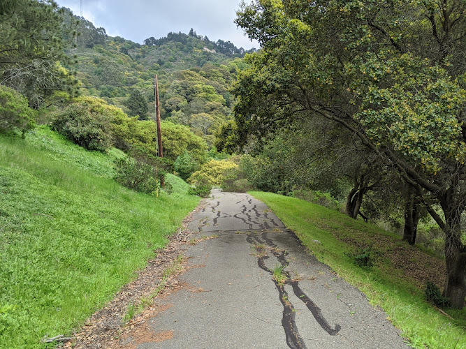 Claremont Canyon Regional Preserve