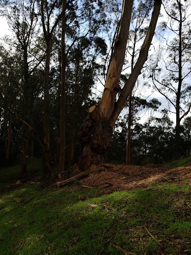 Hillside Natural Area