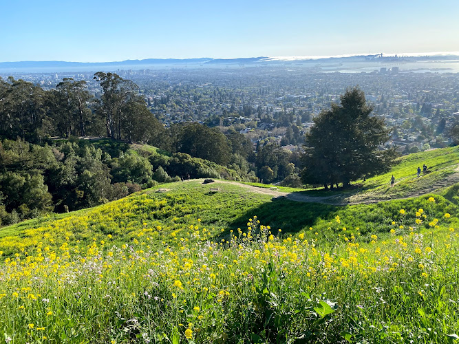 Clark Kerr Fire Trail