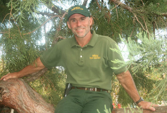 M & M Tree Service