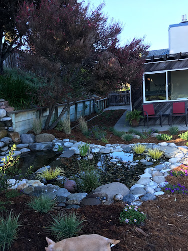 Vortex Water Features