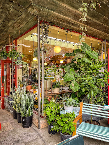 Flowerland Nursery