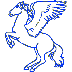 Blue Pegasus Computer Consultations