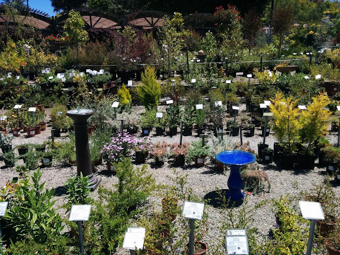 Berkeley Horticultural Nursery