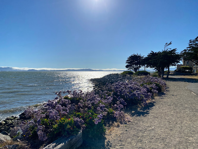 Shoreline Park