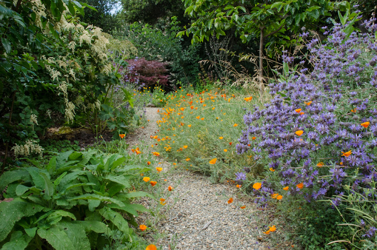 Four Dimensions Landscape Company