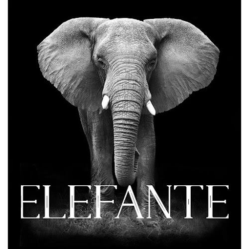 Elefante Communications