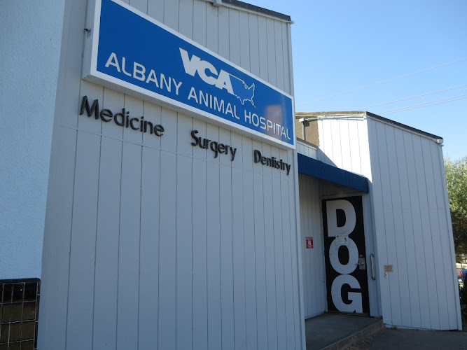 VCA Albany Animal Hospital