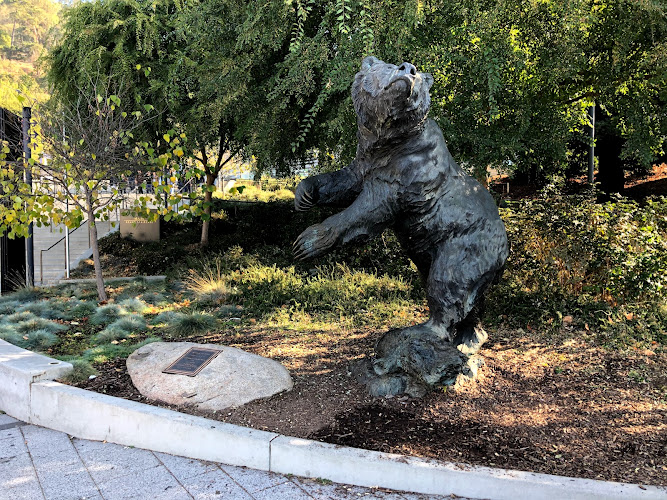 Oski Statue