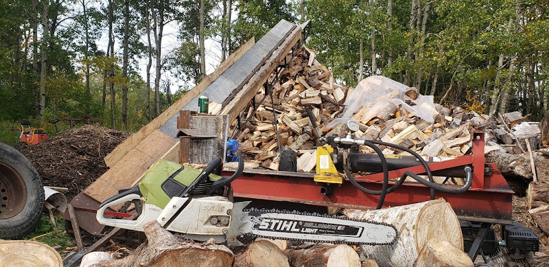 Ridge Tree Trimming Service