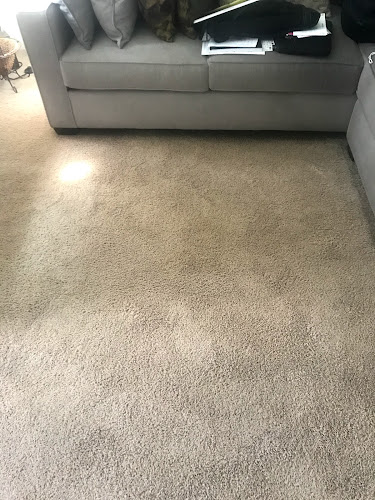 Amazing Carpet & Upholstery Cleaning Oakland