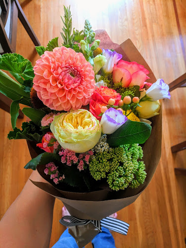 Dandelion Flowers & Gifts