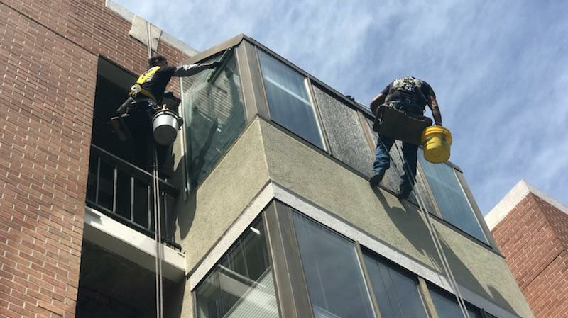 Pegaso Cleaning Services