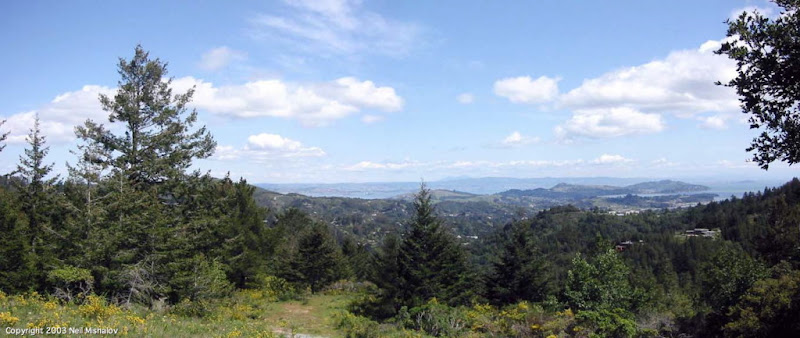 Bay View Tree Service