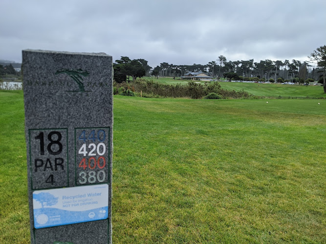 TPC Harding Park