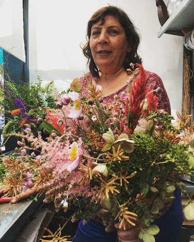 Emilia Flowers