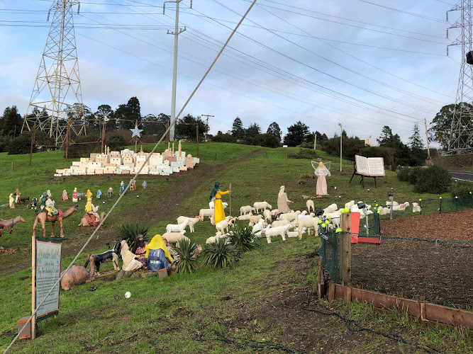Shadi Nativity