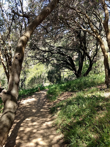 El Cerrito Foundation Memorial Grove