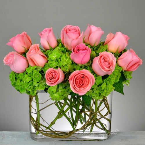 Albany Florist and Gifts