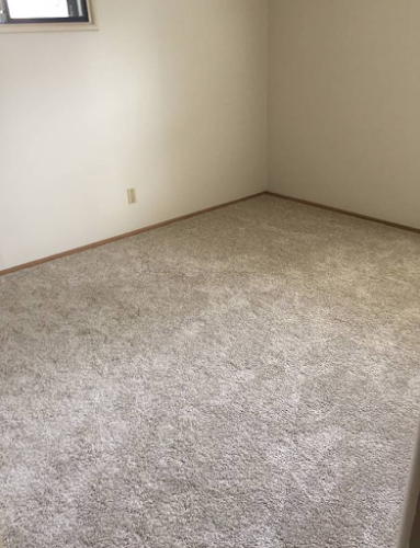 Royal Carpet & Upholstery Cleaning