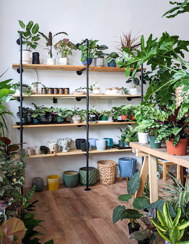 Goods and Garden