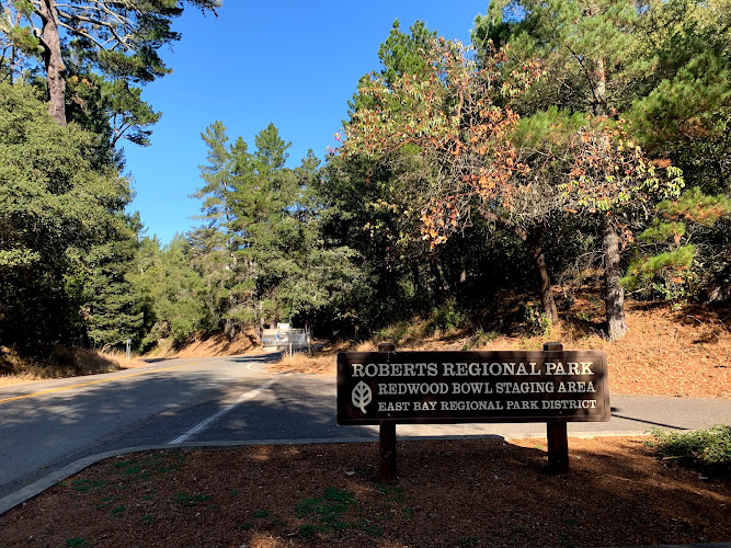 Redwood Bowl Staging Area