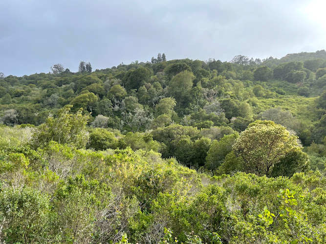 Wildcat Canyon Regional Park