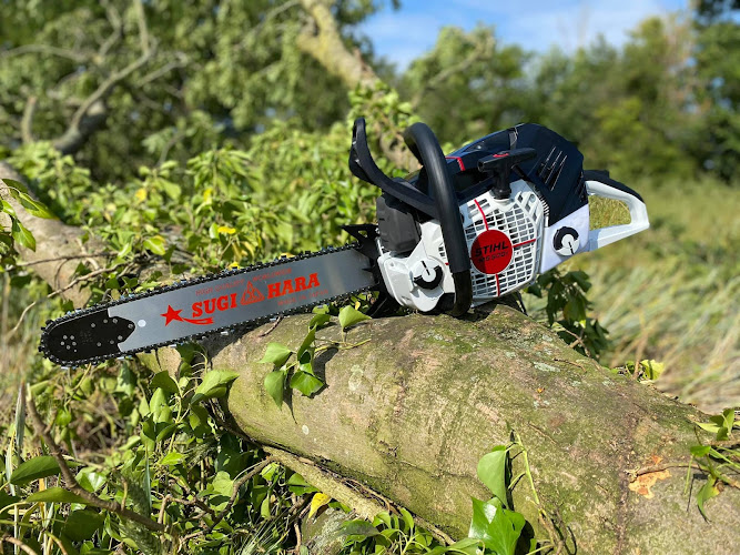 Remedy Tree Removal Service