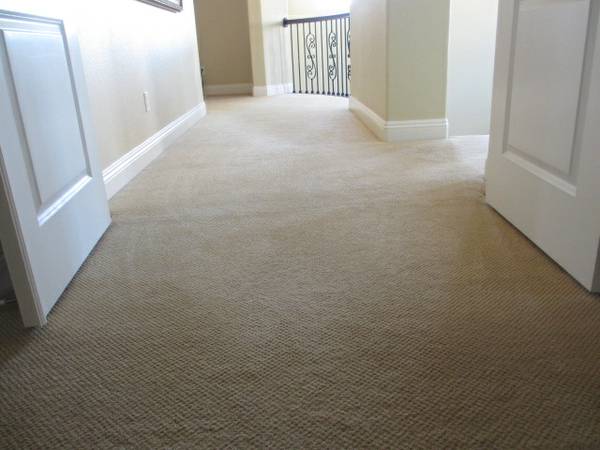 Eco Green Steam Carpet Cleaning