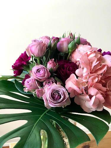 Bloom Studio